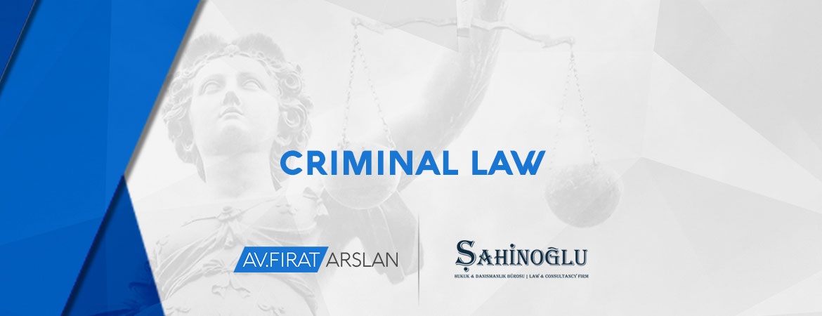 working-areas-02-criminal-law